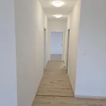 Πανσιόν Luxury Rinok Raca