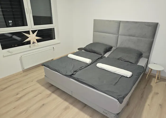 Gasthuis Luxury Rinok