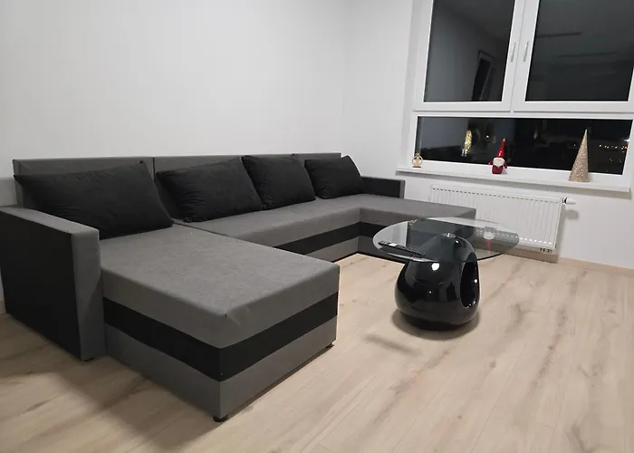 Gasthuis Luxury Rinok *