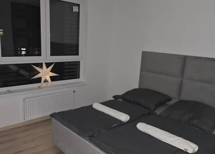 Luxury Rinok